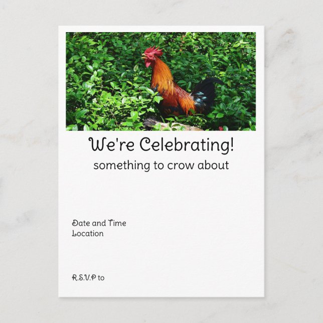 Carte Postale Croisement de coq (Devant)