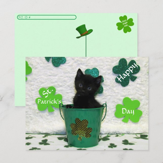 Carte Postale Croisement de Jack beau = Fête de la St. Patrick (Devant / Derrière)