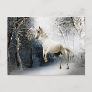 Carte Postale Croisement de la forêt d'hiver du Cheval Blanc