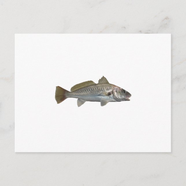 Carte Postale Croisière Atlantique (Devant)