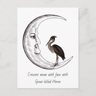 Carte Postale Croissant de lune avec visage avec Héron à gros be