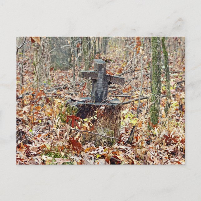 Carte Postale Croix dans les bois (Devant)