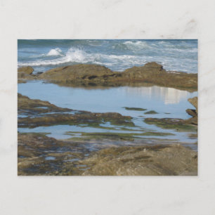 Carte Postale Cronulla Australie Photographie de voyage original