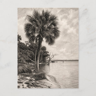 Carte Postale Croquis au graphite de l'ancienne côte de Floride