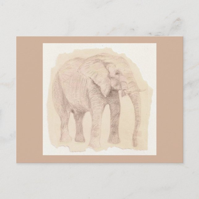 Carte Postale Croquis d'art d'éléphant (Devant)
