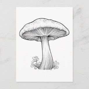 Carte Postale Croquis de champignon dessin au crayon , dessin an
