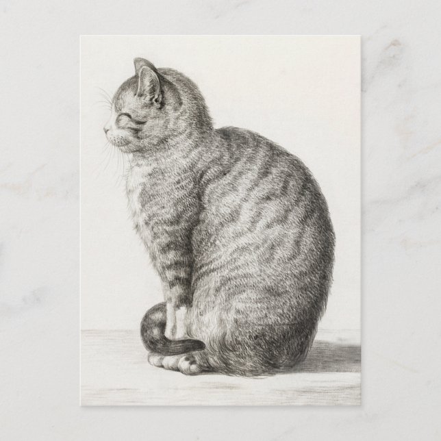 Carte Postale Croquis de chats mignons Jean-Bernard Duvivier (Devant)