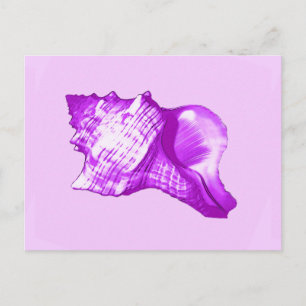 Carte Postale Croquis de coquille de conc - violet, blanc et lav