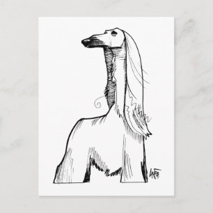 Carte Postale Croquis de la tige afghane