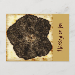 Carte Postale Croquis de l'ancien temps de la gloire du matin