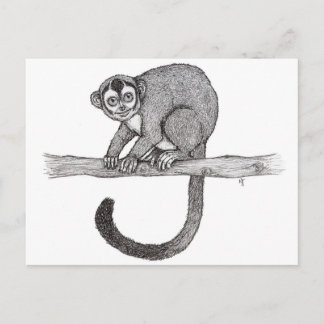 Carte Postale Croquis de Night singe (Aotus spec.) par Nicole Ja