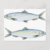 Croquis de poisson hareng