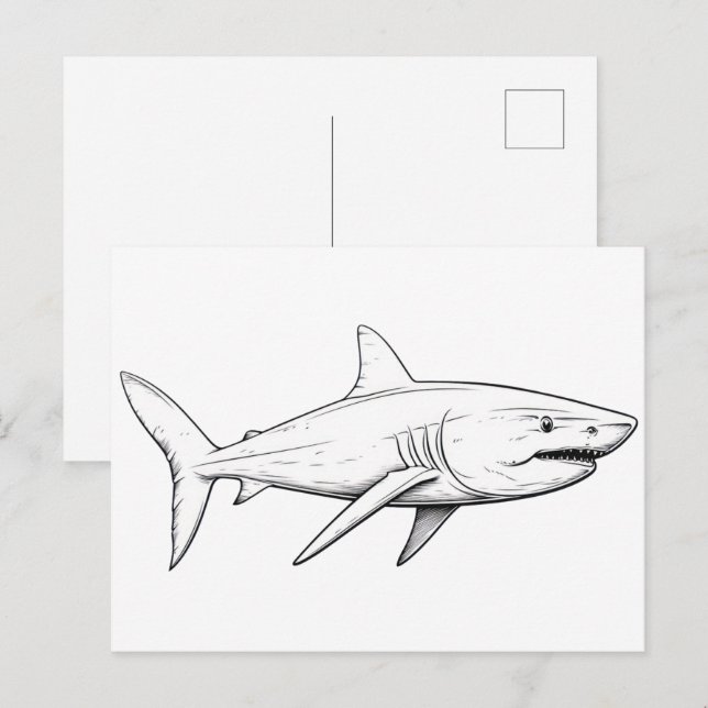 Carte Postale Croquis de requin (Devant / Derrière)