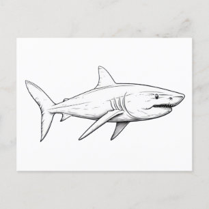 Carte Postale Croquis de requin