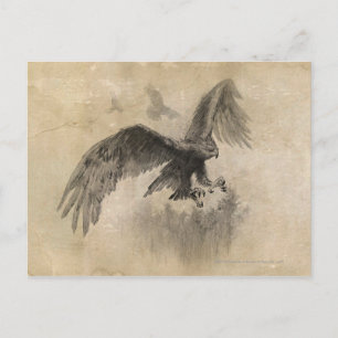 Carte Postale Croquis Great Eagles