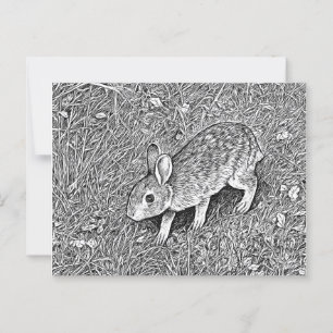 Carte Postale Croquis mignon au crayon lapin