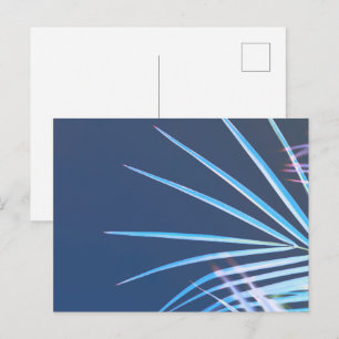 Carte Postale Croquis minimalisme Feuille Palm Tree