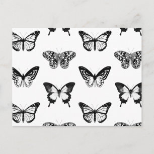 Carte Postale Croquis papillon, noir et blanc
