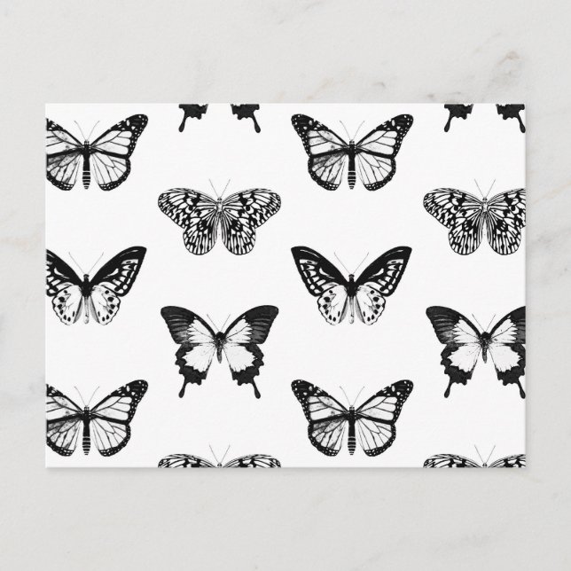 Carte Postale Croquis papillon, noir et blanc (Devant)
