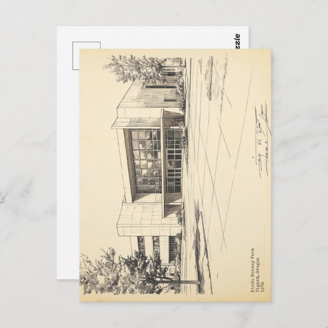 Carte Postale Croquis vintage Ferme de singes hindous (Devant / Derrière)