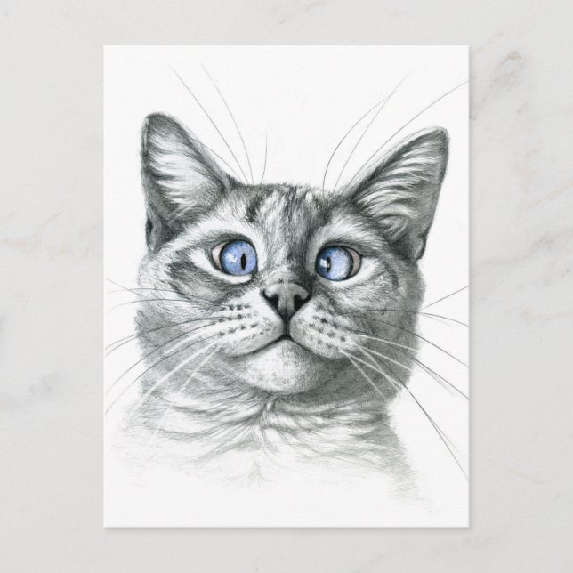 Carte Postale Cross Eyed cat G122 (Devant)