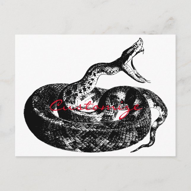 Carte Postale Crotte serrée Thunder_Cove (Devant)