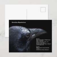 Carte postale Crow