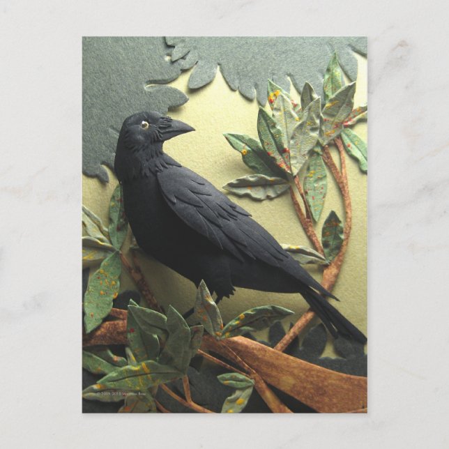 Carte postale Crow (Devant)