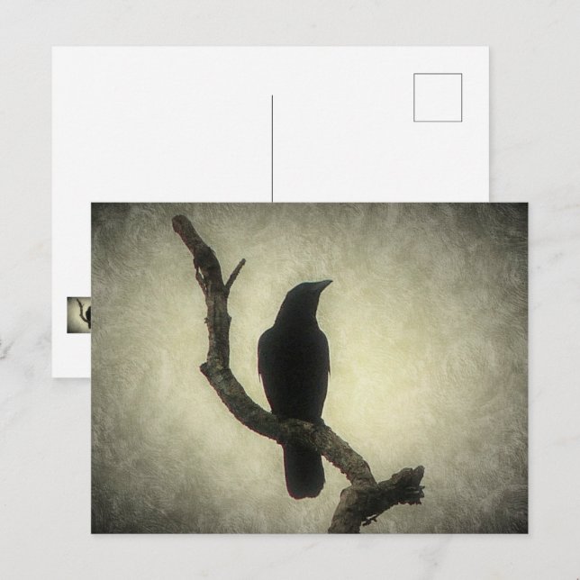 Carte postale Crow (Devant / Derrière)