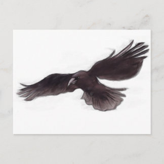 Carte Postale Crow