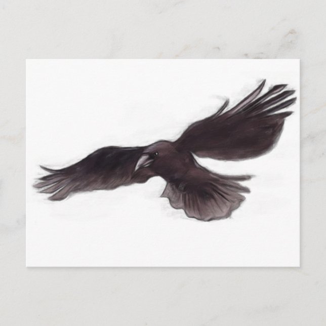 Carte Postale Crow (Devant)