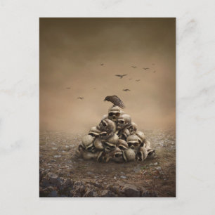Carte Postale Crow Assis Sur Un Pile De Galettes