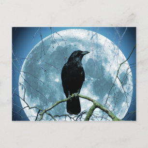 Carte Postale Crow Raven Lune Nuit Imaginaire gothique Étonnant