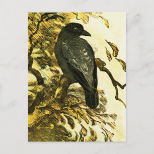 Carte Postale Crow vintage Perché sur une branche Theo van Hoyte