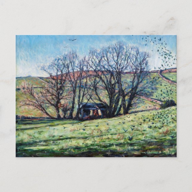 Carte Postale Crows Rising 2009 (Devant)