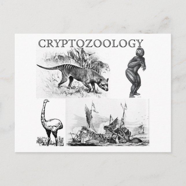Carte Postale cryptozoology postcard (Devant)