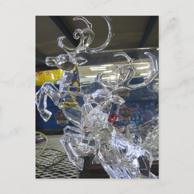 Carte Postale Crystal Deer (Devant)