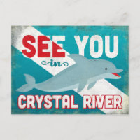 Crystal River Dolphin - Retro Vintage Travel