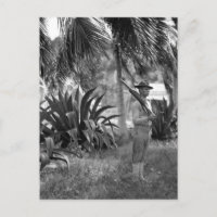 Cuba, Guantanamo Sentry sous palms_War Image