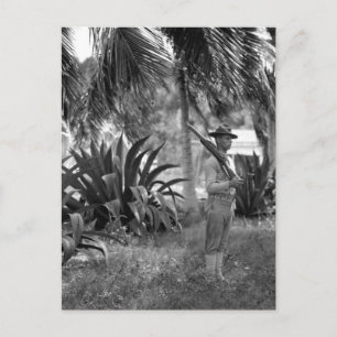 Carte Postale Cuba, Guantanamo Sentry sous palms_War Image