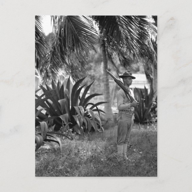 Carte Postale Cuba, Guantanamo Sentry sous palms_War Image (Devant)