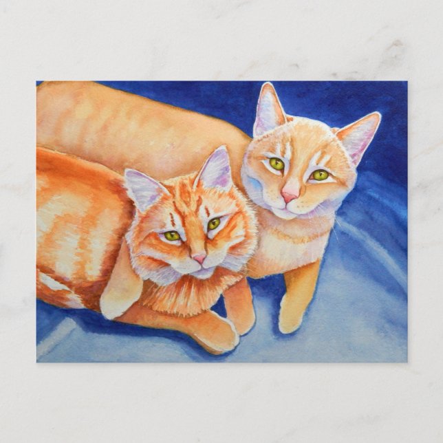 Carte Postale Cuddin de Tabby Orange (Devant)