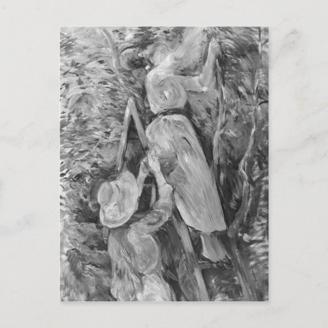 Carte Postale cueillette de cerises, 1891 (Devant)
