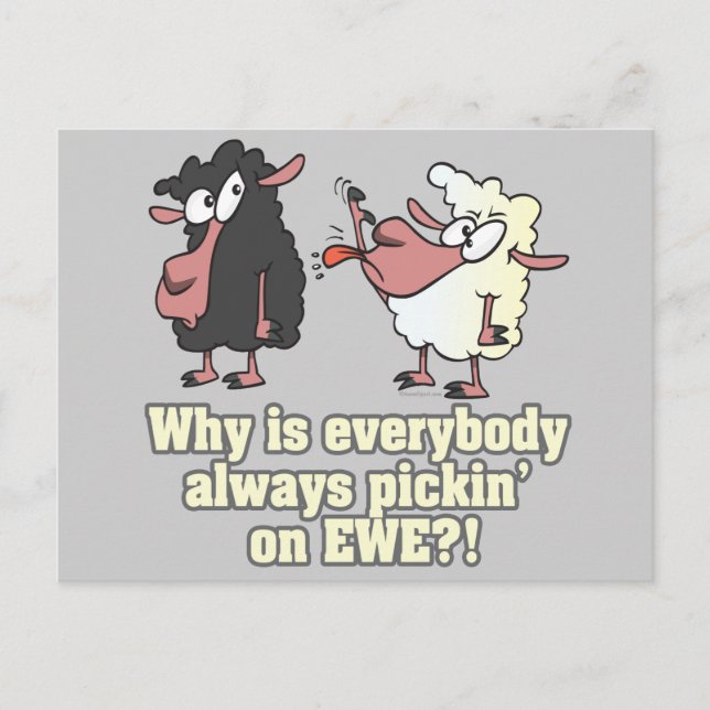Carte Postale cueillette de l'humour de mouton noir EWE