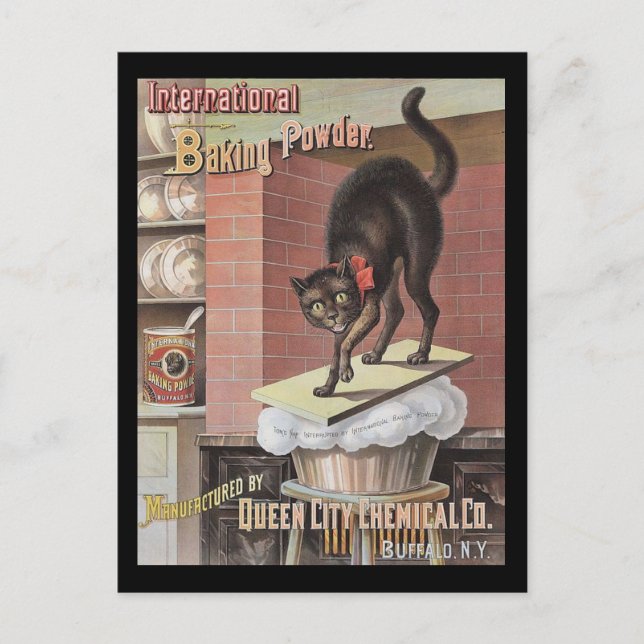 Carte Postale Cuisson de chat noir Soda Buffalo New York (Devant)