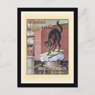 Carte Postale Cuisson de chat noir Soda Buffalo New York