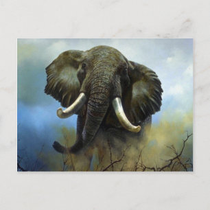 Carte Postale Cuisson, éléphants