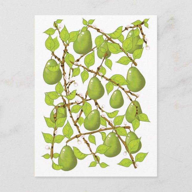 Carte Postale Cultiver des poires (Devant)