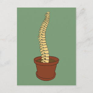 Carte Postale Cultiver Une Spine