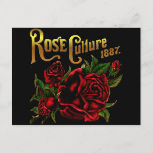 Carte Postale Culture rose 1887